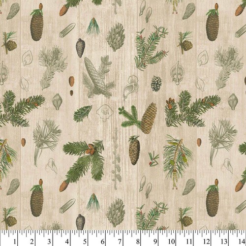 Woodland pinecones evergreen - woodland,
