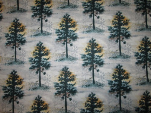 Tree pine trees realistic - pine,
