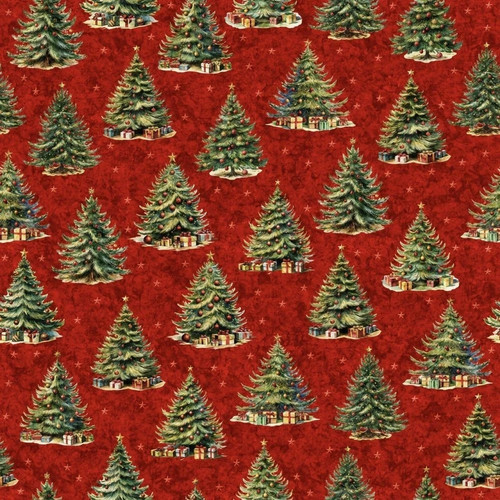 The yard christmas fir - by,